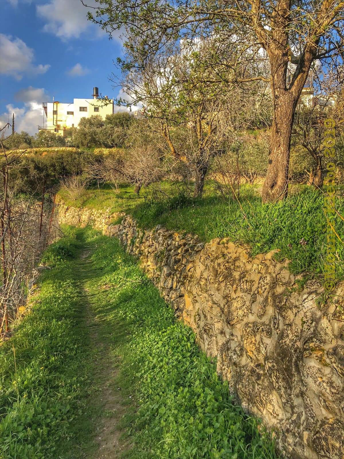 X500 swimcross exercise systems Al-Walaja: The Beautiful Palestinian Village – Palestine Issue Magazine