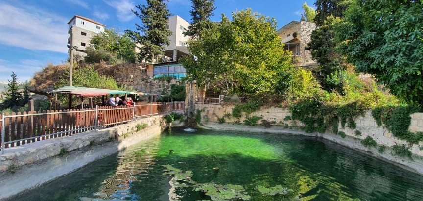 Explore Battir; Land of Olives and Vines – Cultural Landscape of Southern  Jerusalem, Palestine. – Palestine Issue Magazine